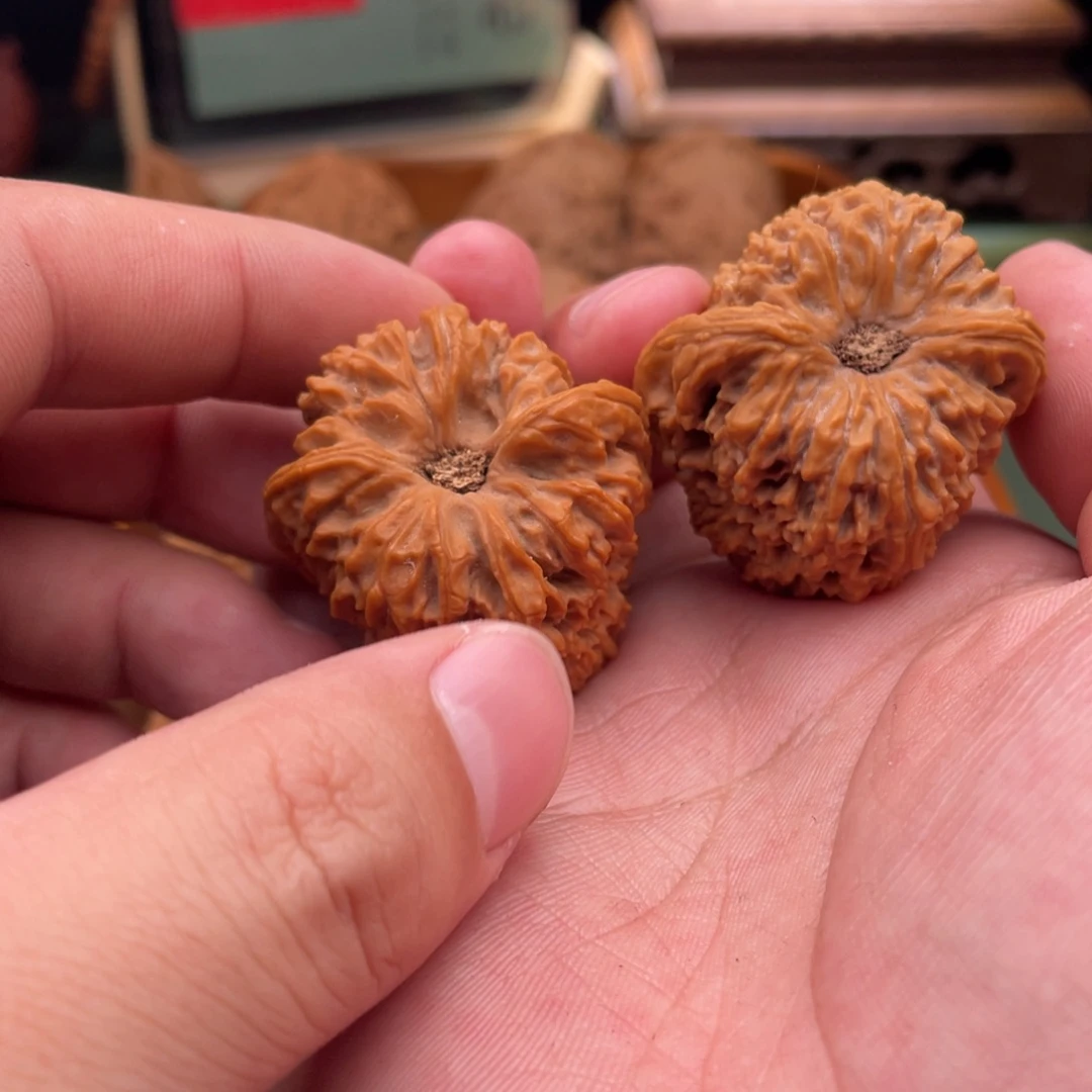 核桃手串/手链H*全品凹底高炮