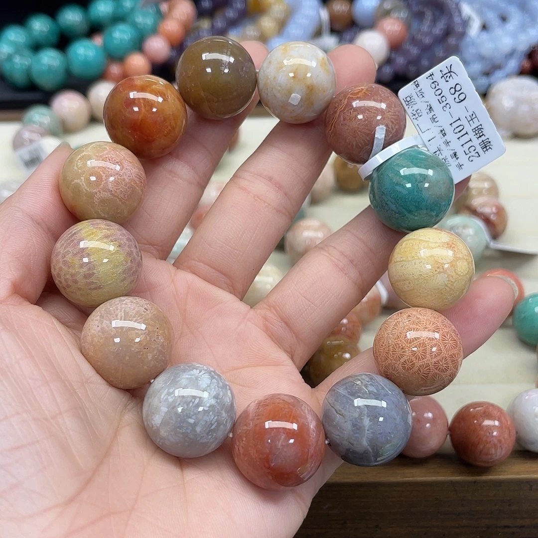 未镶嵌手串硅化珊瑚（珊瑚玉）卿**人354