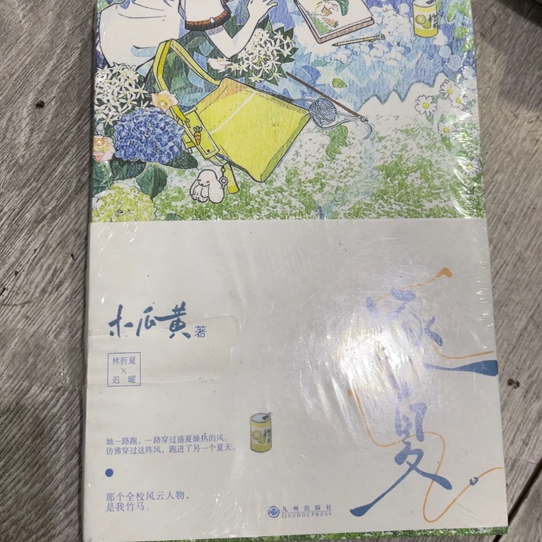 不***笑诸夏言情小说一个