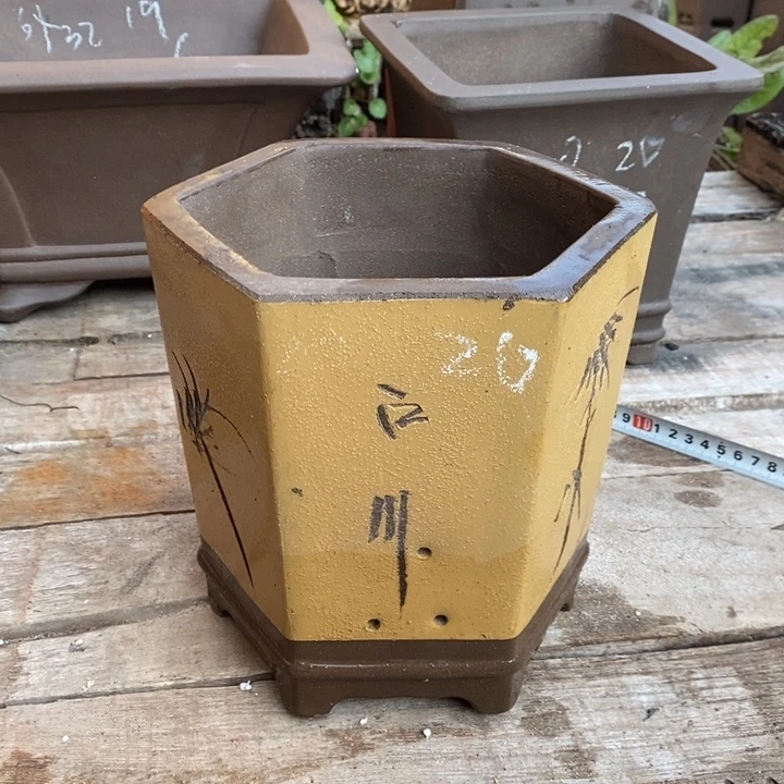 花盆紫砂哈哈哈哈哈