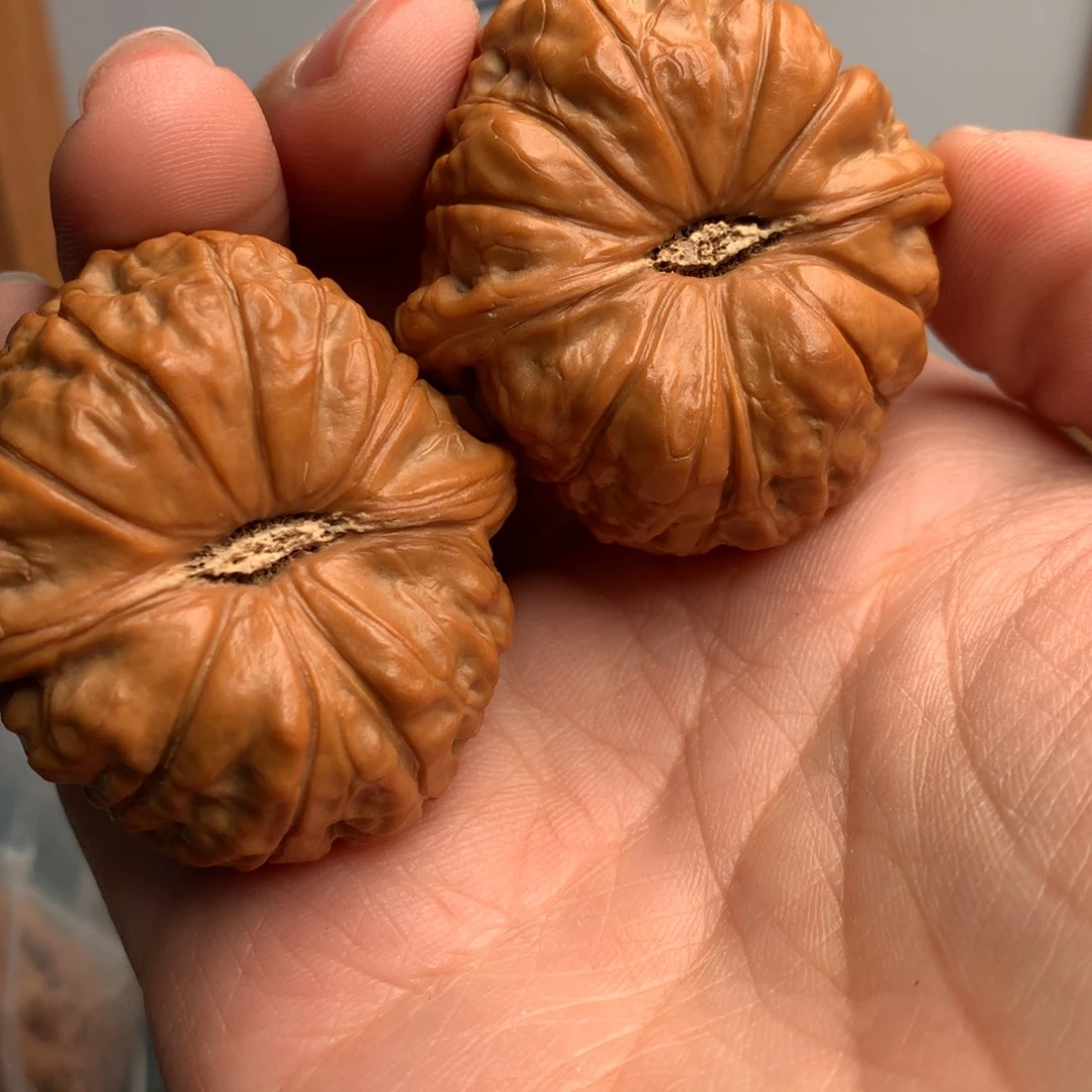 鱼***宝南瓜1件套装小香红