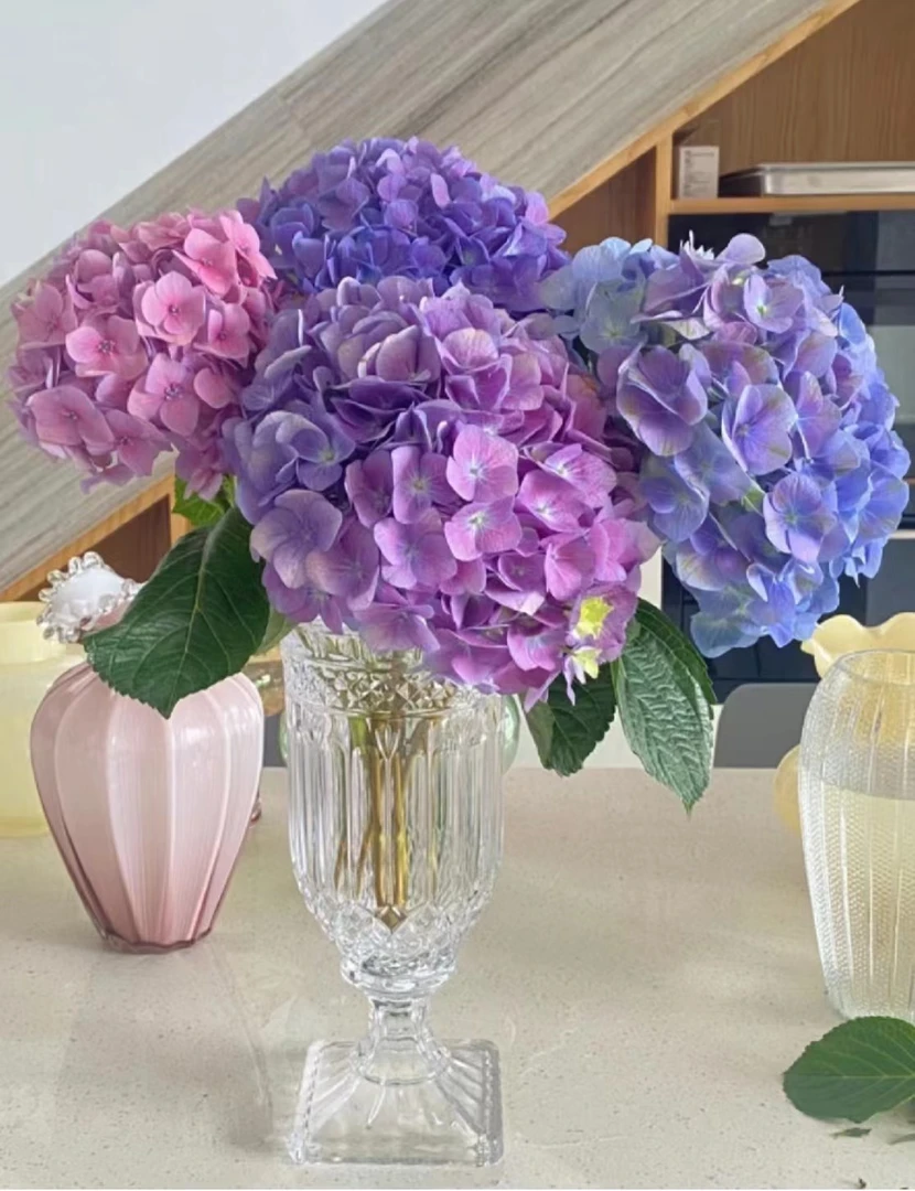 【配色绣球 2支】鲜花任意满2单发冷链或空运 云南鲜花