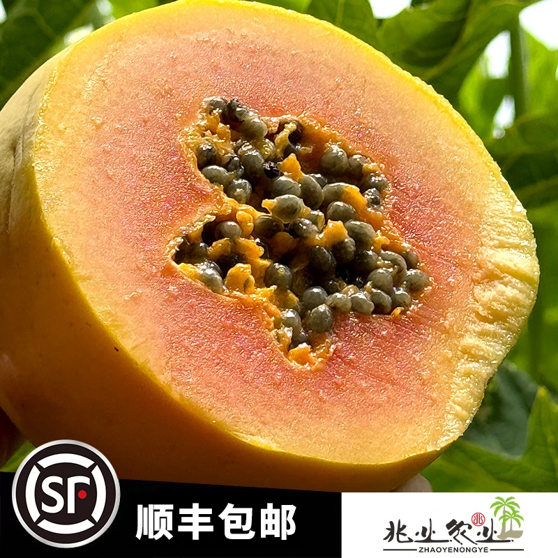 泰酷辣姐姐甄选海南红心木瓜