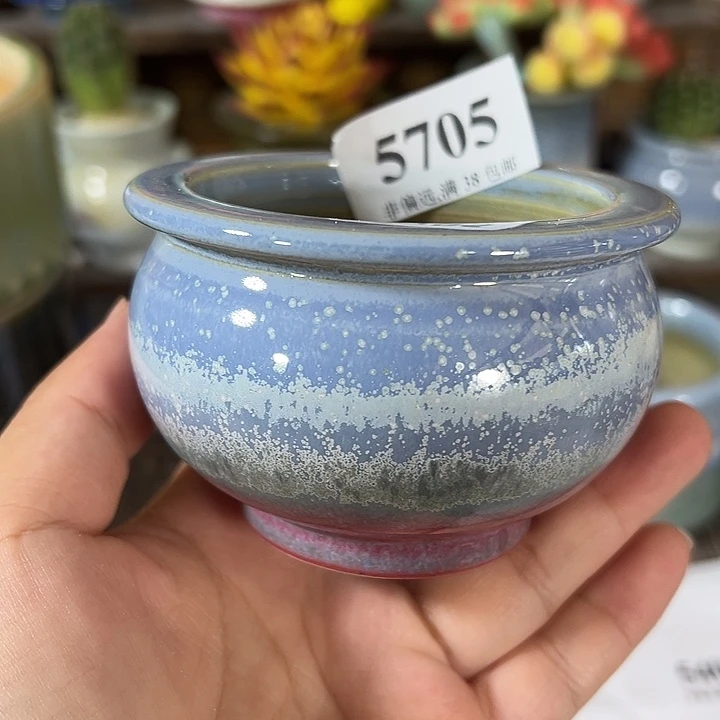 口6.5 手工花盆满30包邮