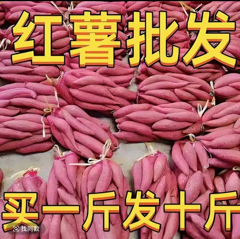 【产地直发】正宗黄心蜜薯超甜蜜薯软糯地瓜番薯红芋新鲜现挖现发
