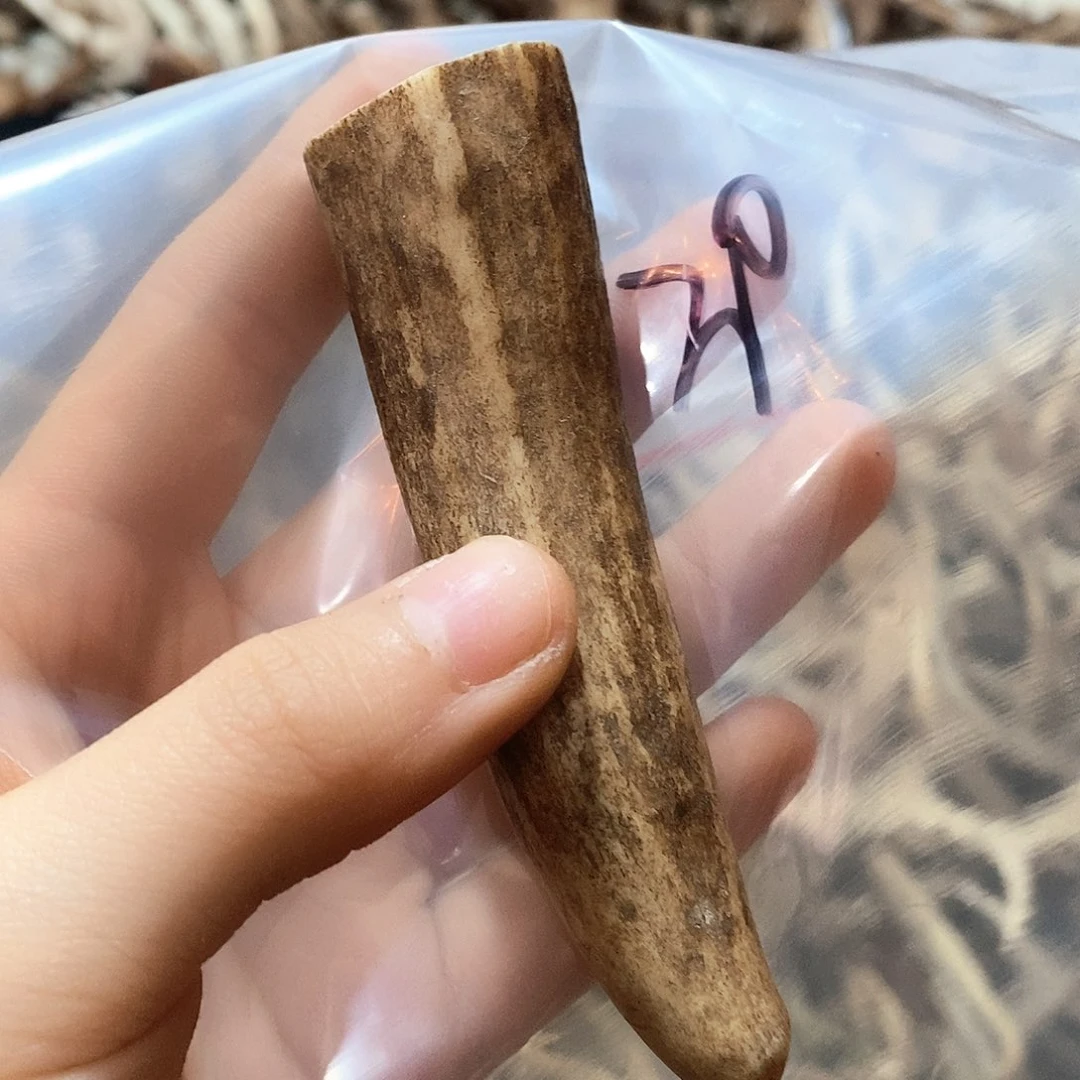 鹿角鹿角鹿角鹿面鹿