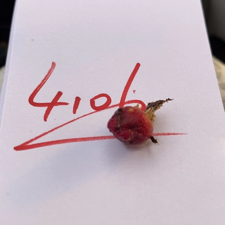 4106一个一个一个