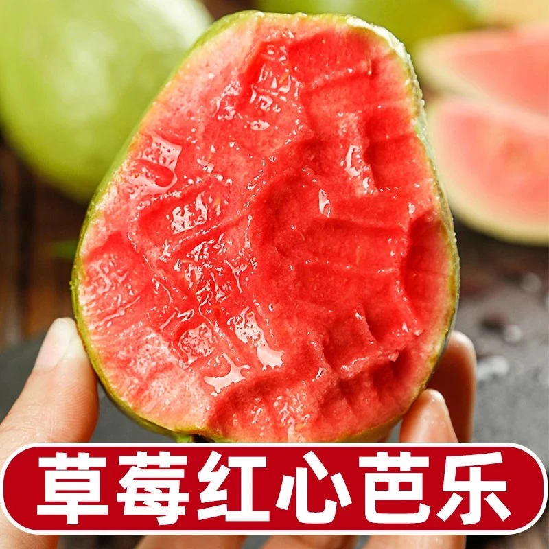 广西软芭乐软糯水果香甜坏果包赔果园直发软糯香甜草莓红心芭乐