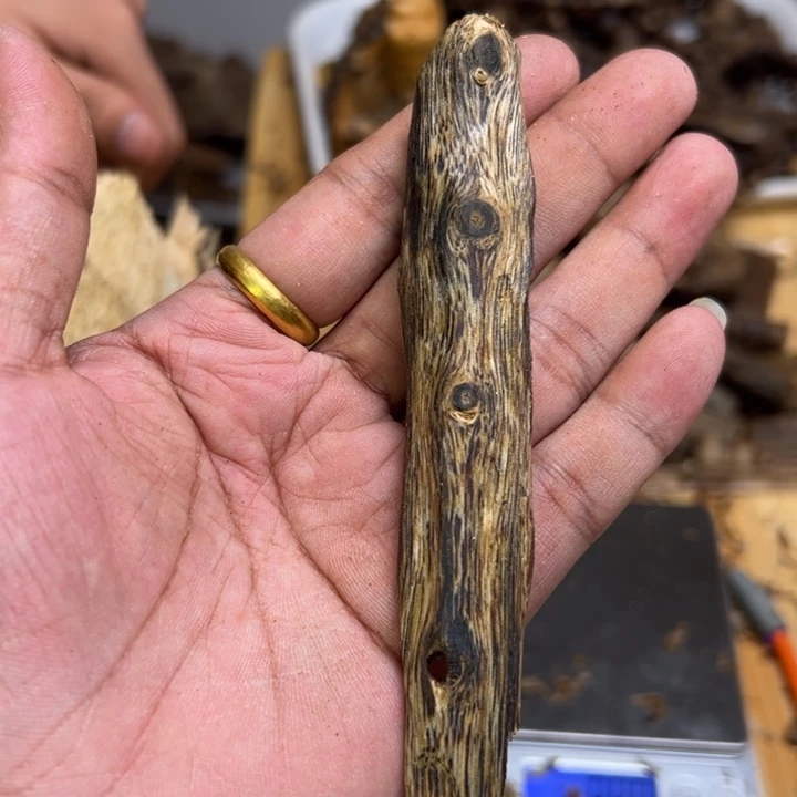 沉香沉香碎屑8.8克