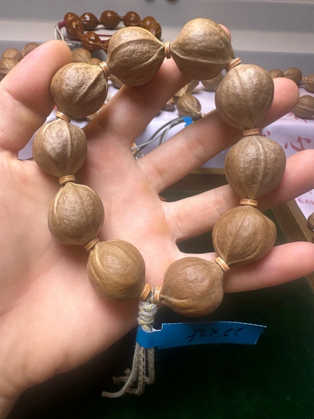 鼎盛百年老树原生态梅林铁核22-25