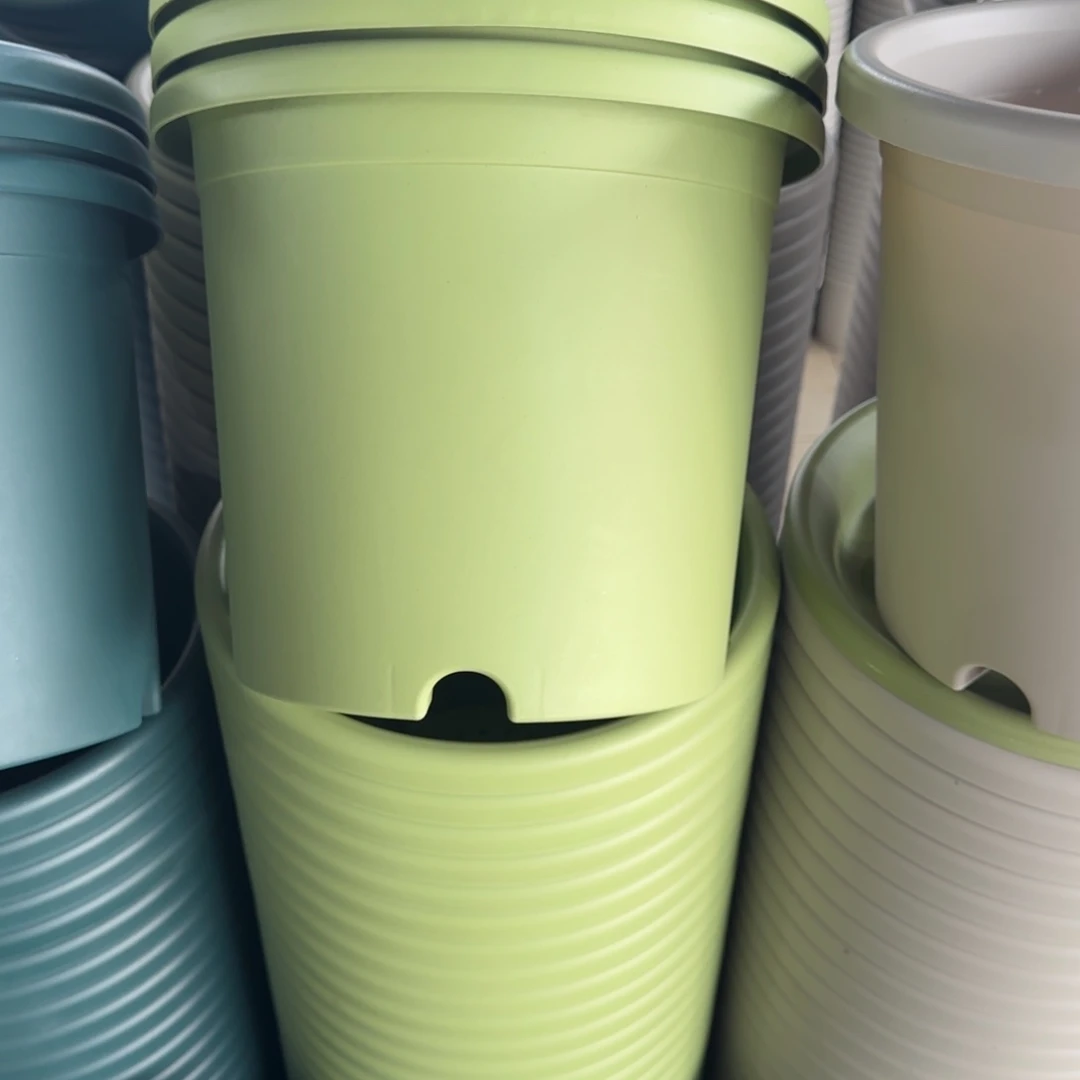 塑料四季4号果绿6个带拖