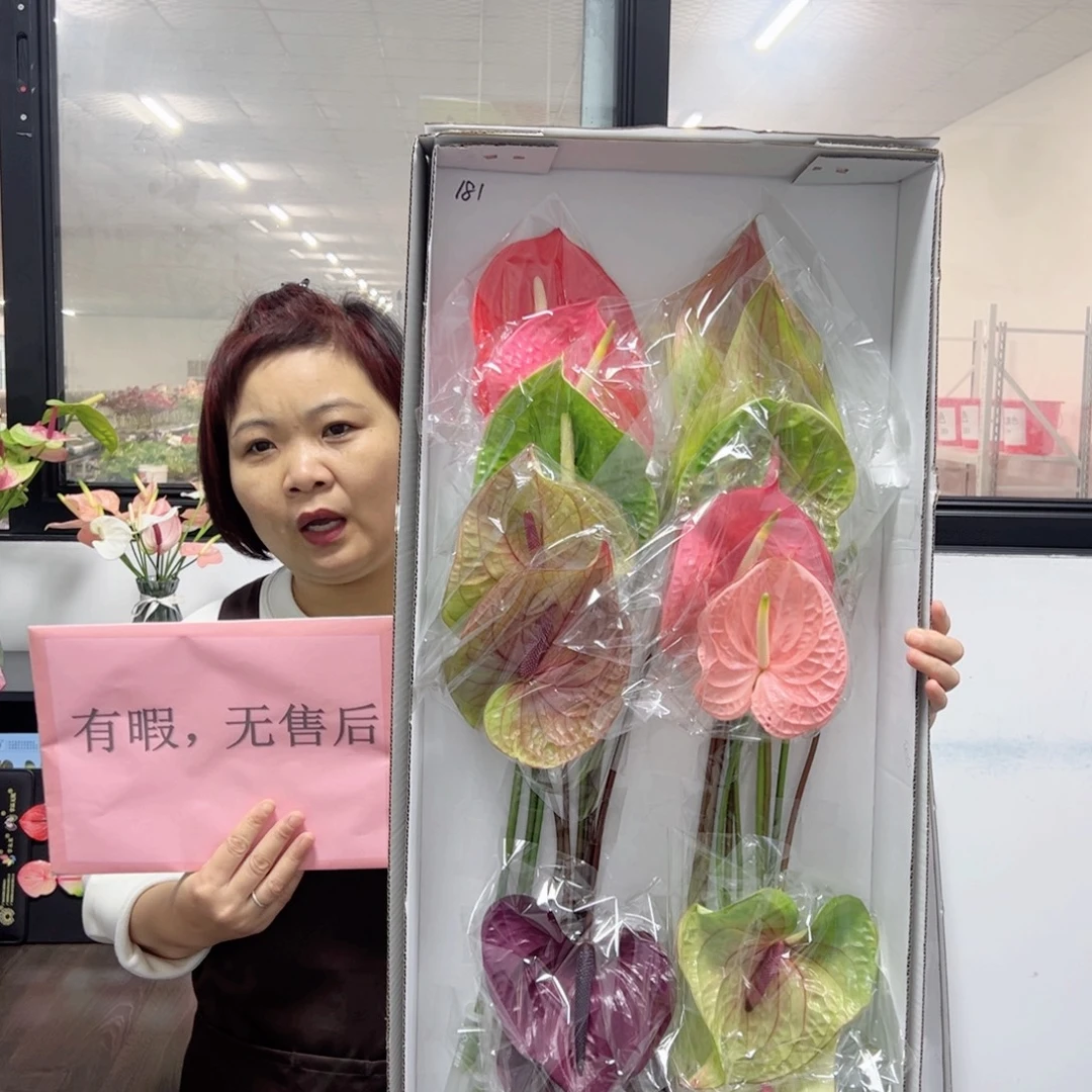 完全开放18支混色有瑕无售后181号