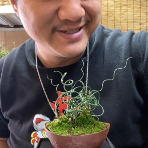 红陶今****吗一物一拍所见即所得76