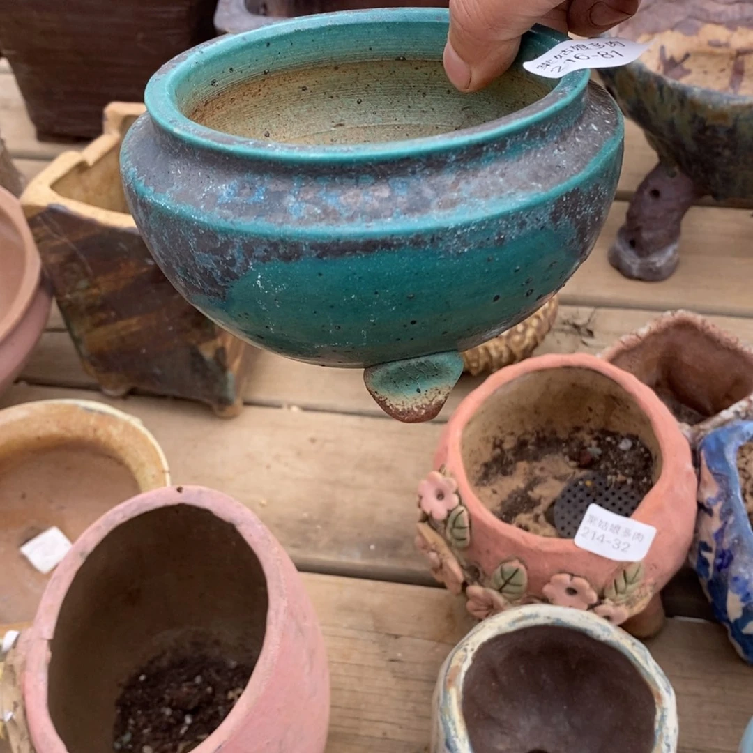 红陶人***风81号多肉盆一个呀