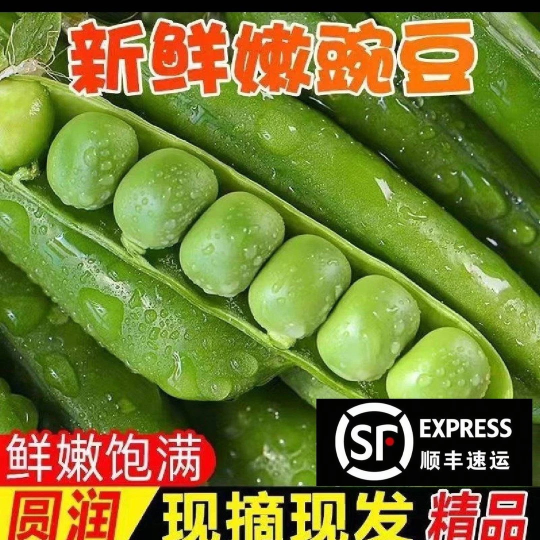 河南农家甜豌豆 顺丰包邮 新鲜现摘