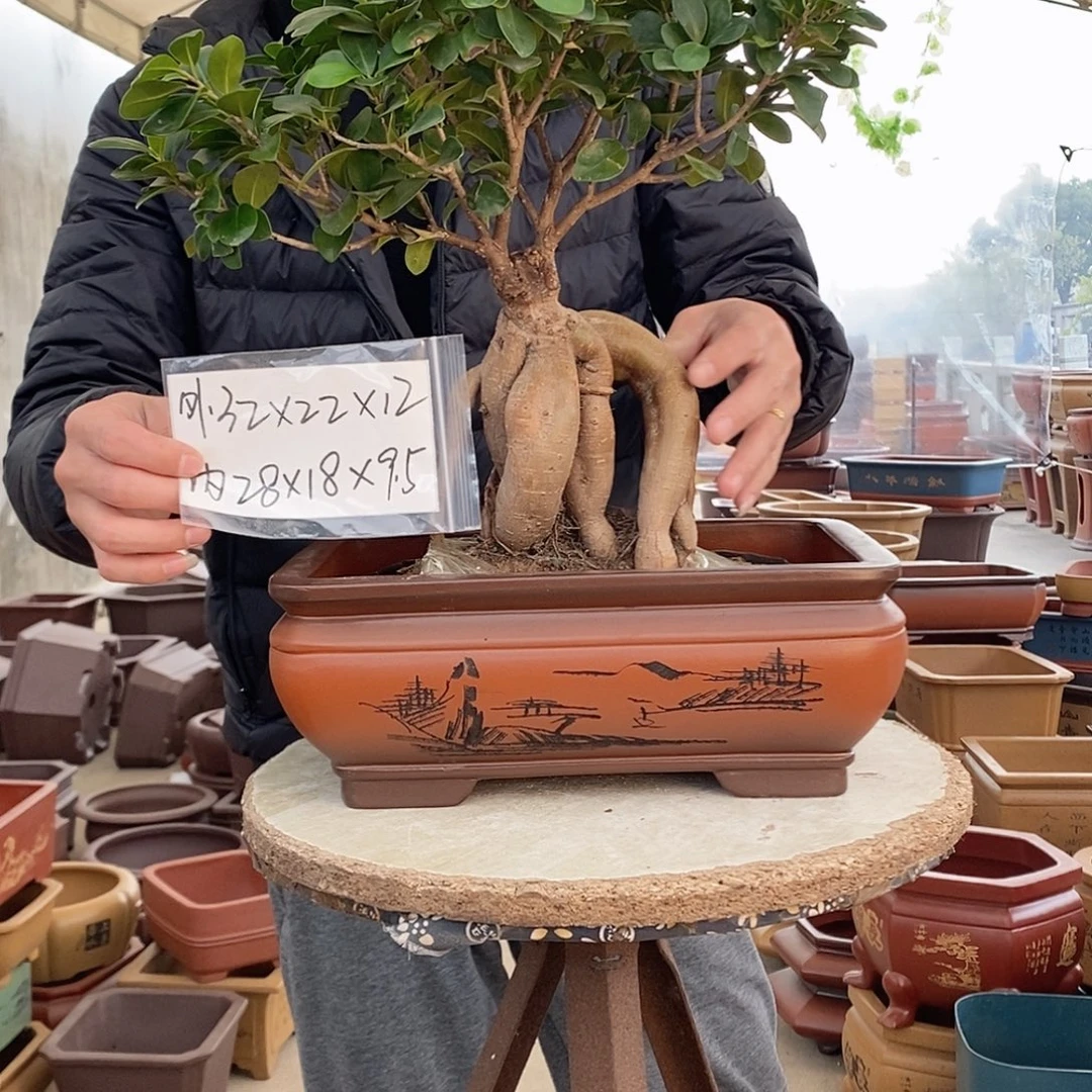 紫砂花盆紫砂花盆