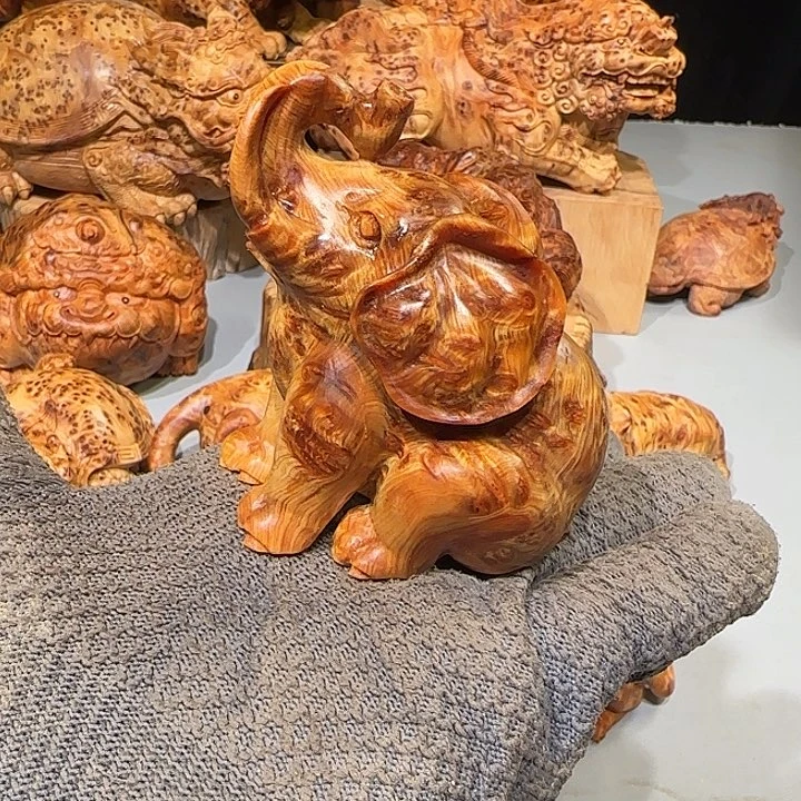 柏木太行崖柏大象