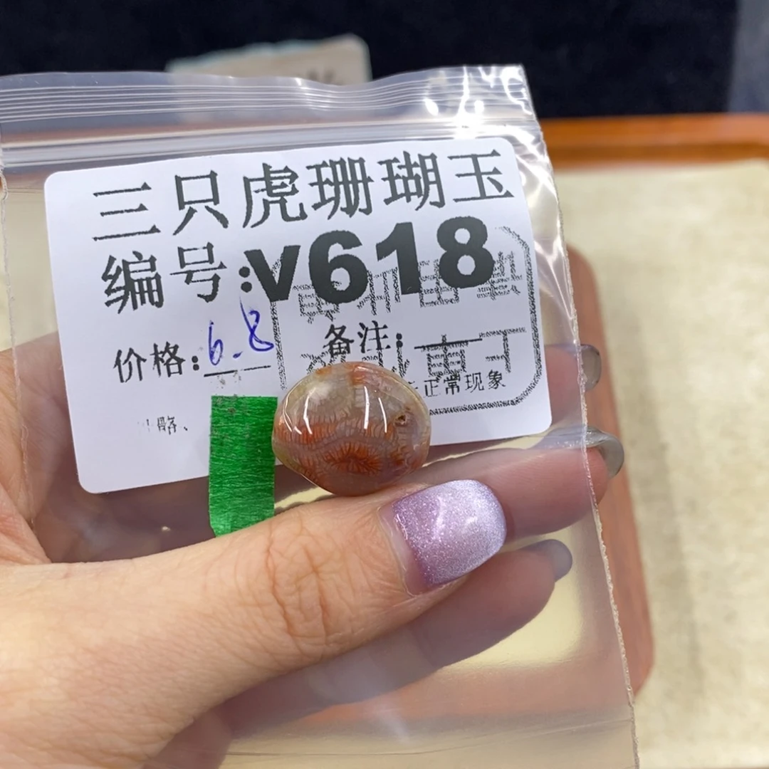 硅化珊瑚（珊瑚玉）未镶嵌1乐*