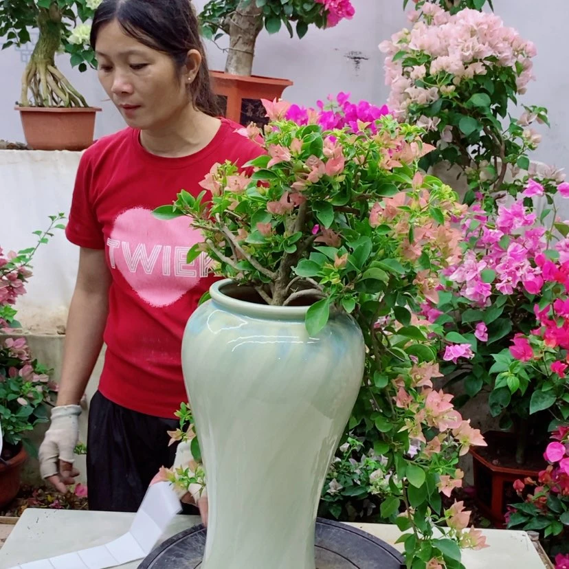 【闪购商品】完全开放