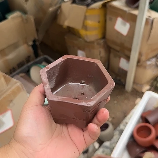 我的好友是小飞龙我