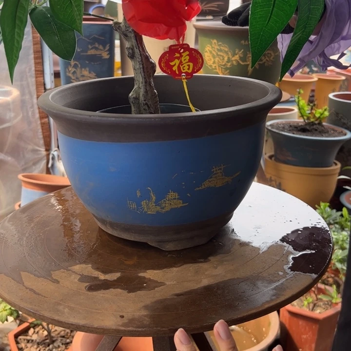 30蓝山花盆花盆花盆花盆