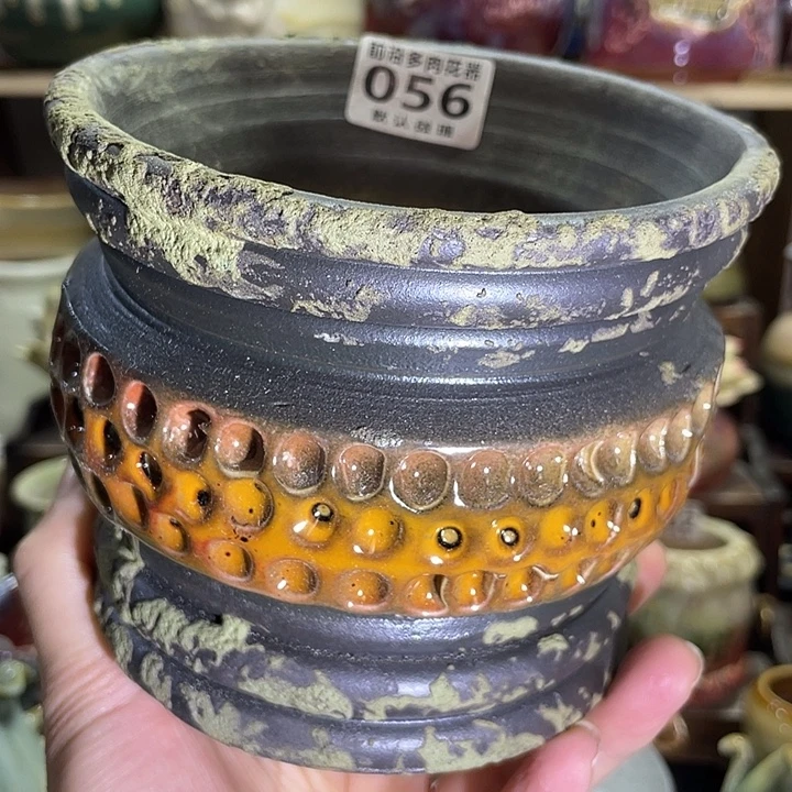 狼盆内口径11高度11