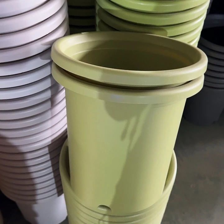 微瑕7#果绿6个无托