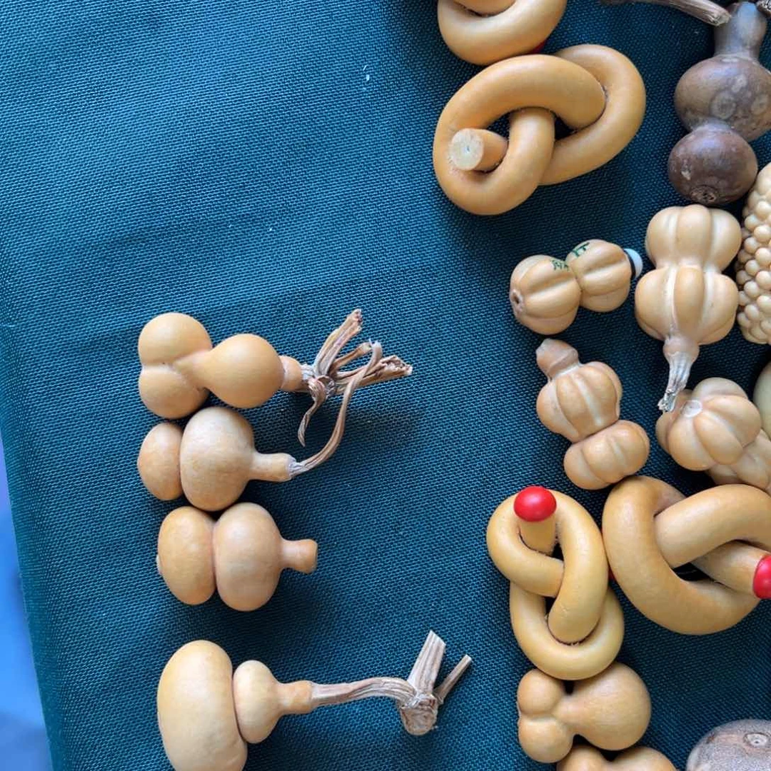 猪****？葫芦娃兄弟姐妹一起来看看