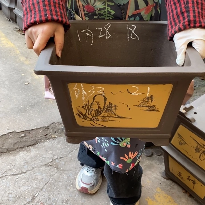 花盆紫砂只顾看手机
