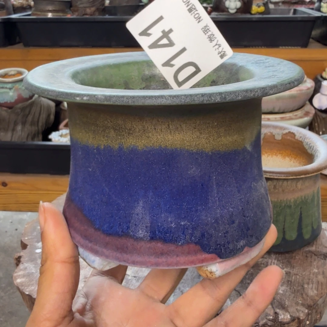 重庆小燕子欢迎大家141