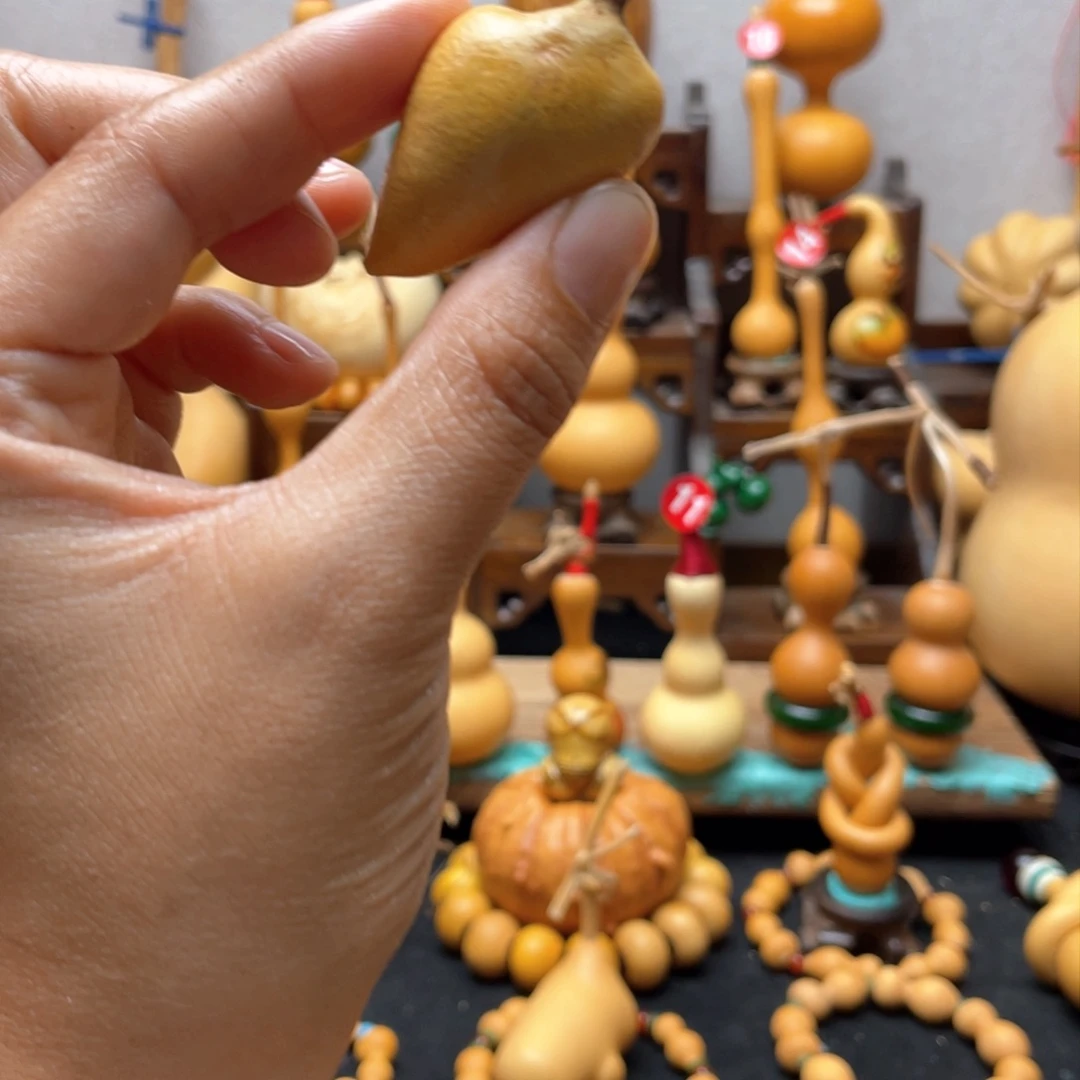 飞*大自然的秘密第十一节课