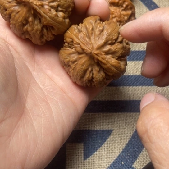 吊坠文玩核桃霸王龙