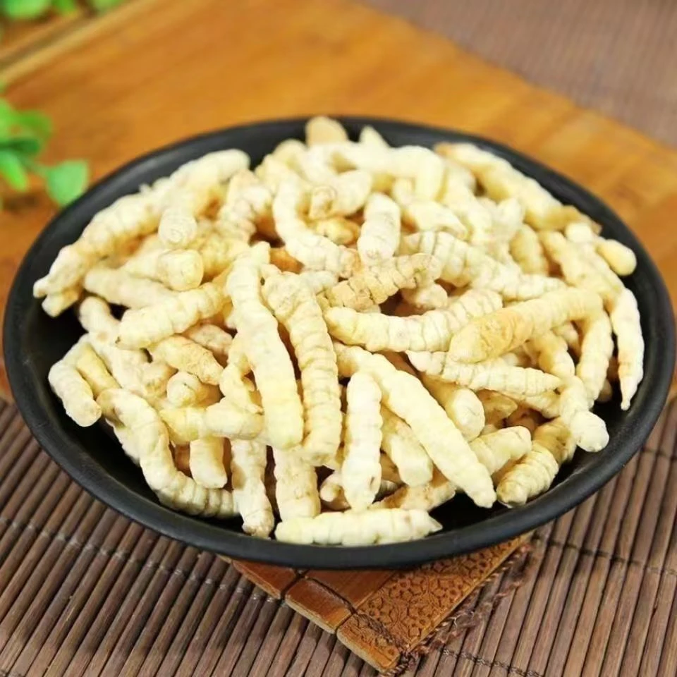 高山高海拔特产【白-虫-草】珍藏500g  老肖专属