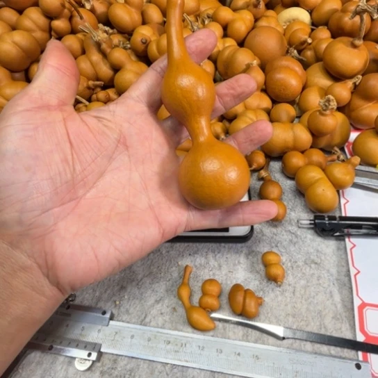 大****大鱼海棠的一把一把杆子葫芦