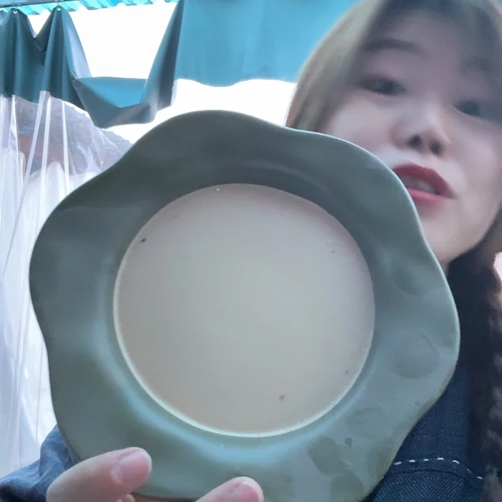 外贸橄榄绿花朵盘微瑕