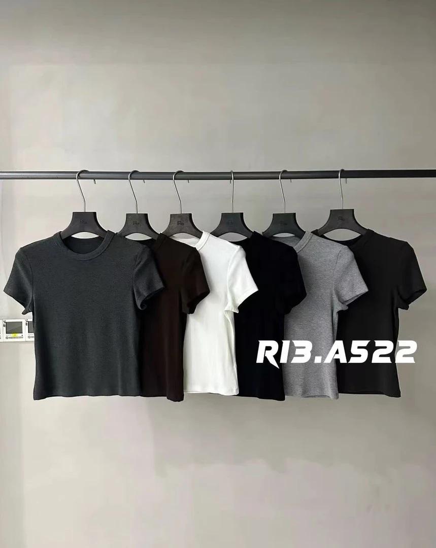 十三行R13正品早秋新款 很舒服百搭款纯色短款短袖T恤女