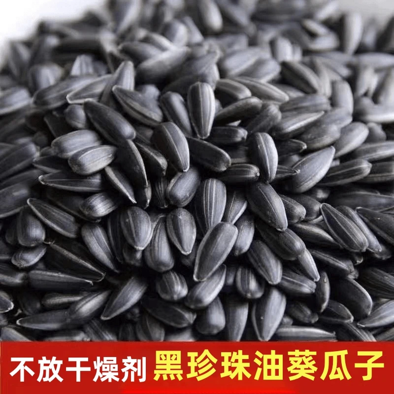 内蒙黑珍珠小瓜子2斤1斤批发生油葵瓜子五香椒盐小油葵花子黑瓜子