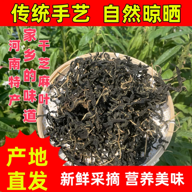 河南特产干芝麻叶农家自晒脱水蔬菜可凉拌可做面条