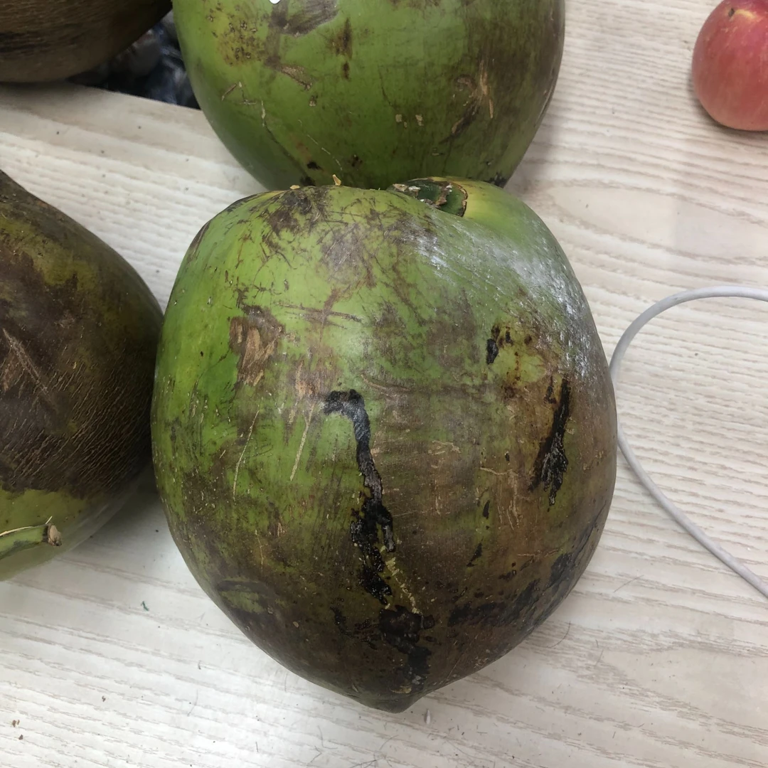海南椰子现削现卖五斤起 满水椰青
