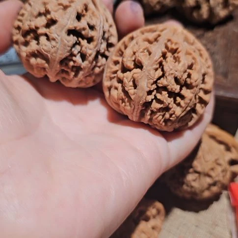 S***p文玩核桃吊坠44粗筋