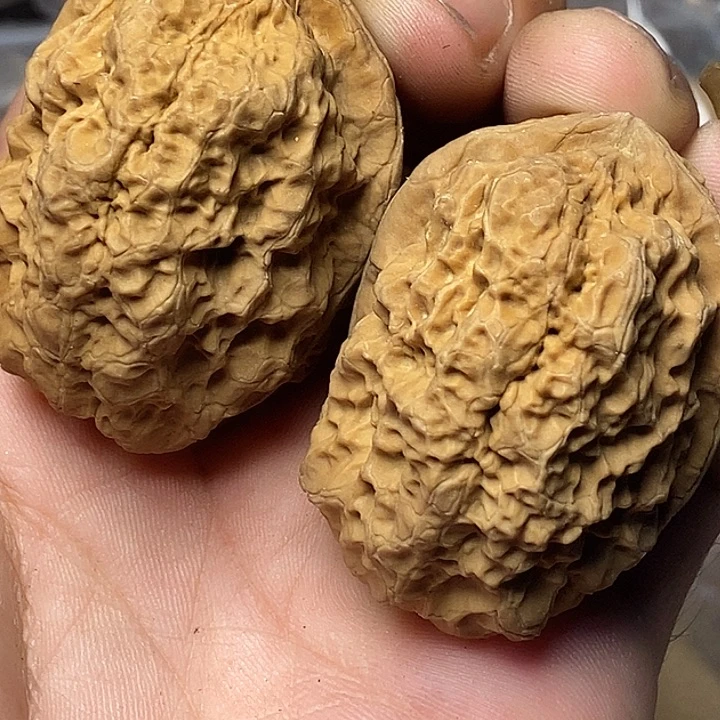 把件文玩核桃云南铁核桃179