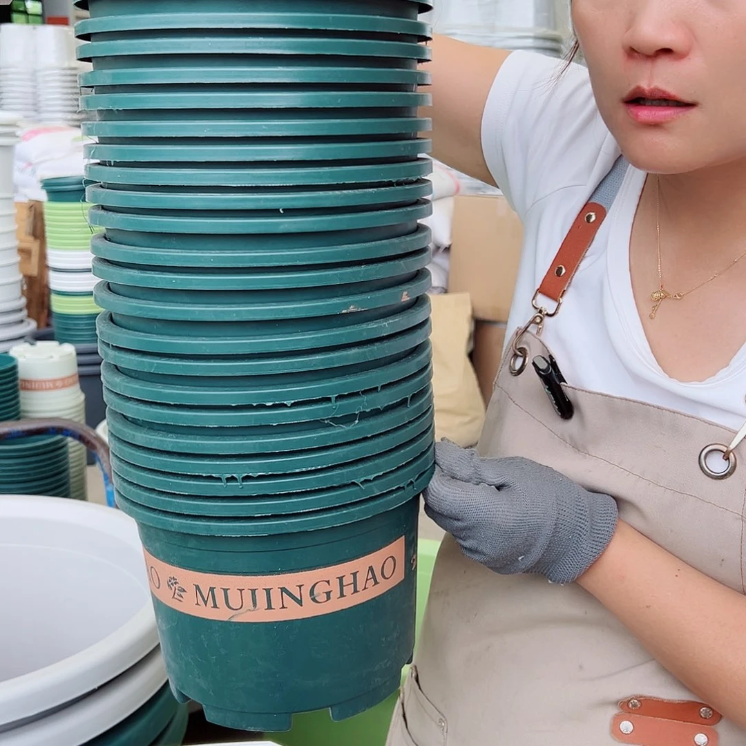 瑕疵矮胖3#墨绿色10个无托