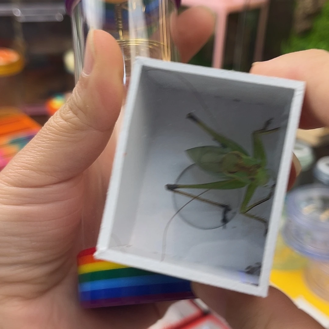 扎嘴桶➕扎嘴哈哈哈哈