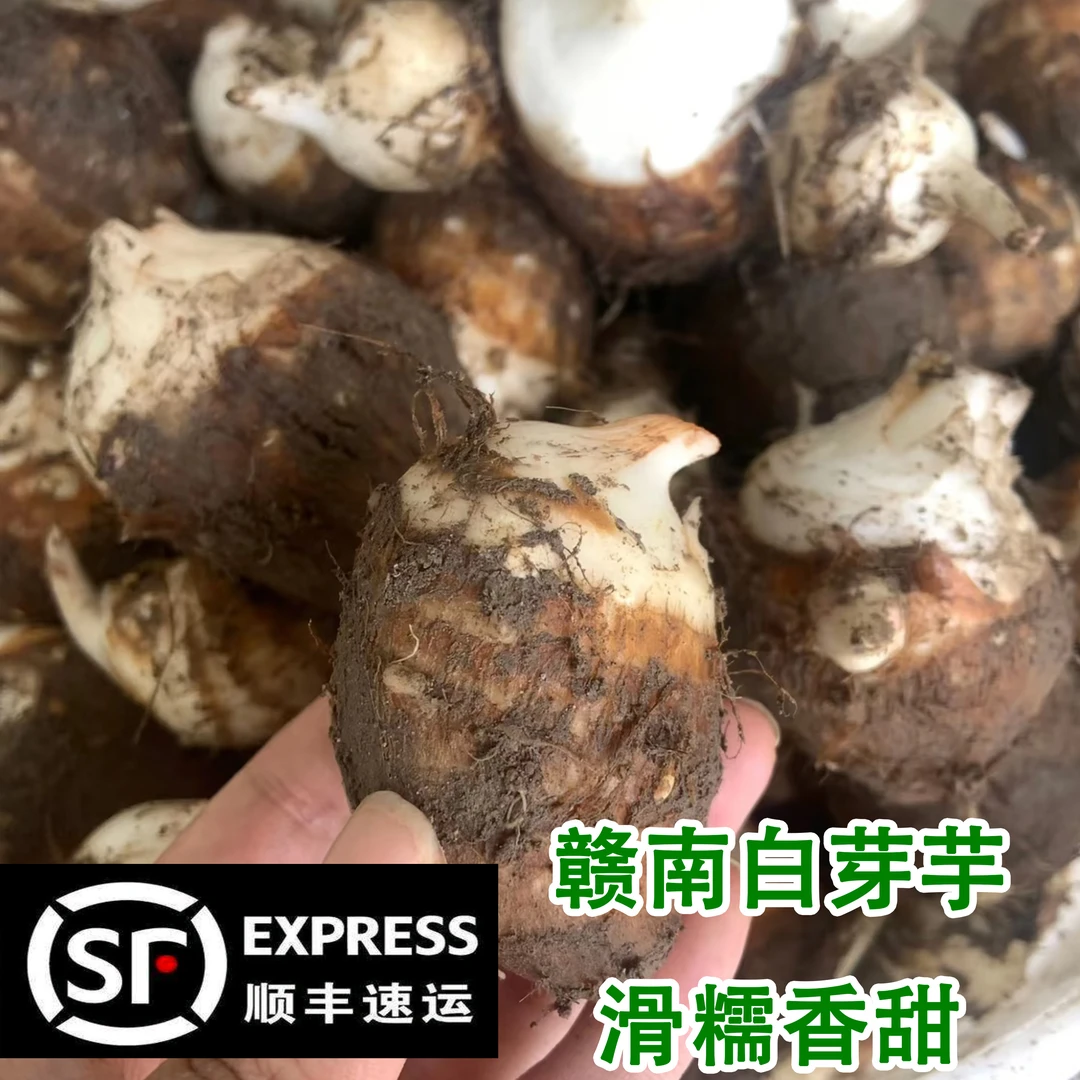 江西农家芋头白芽芋新鲜蔬菜现挖小芋仔芋子顺丰包邮农家新鲜蔬菜