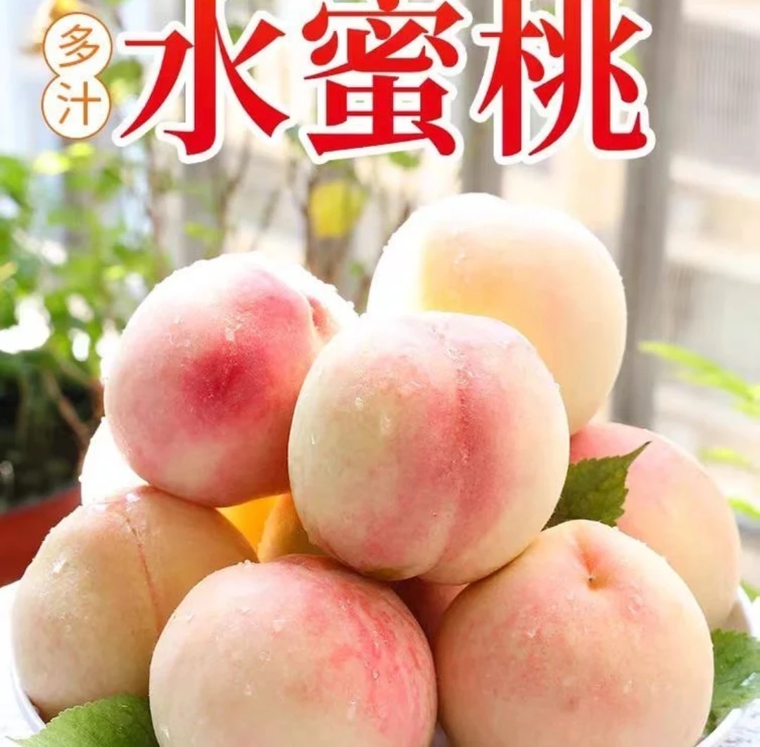 陕西头茬小白凤水蜜桃 一款可以爆汁的水蜜桃