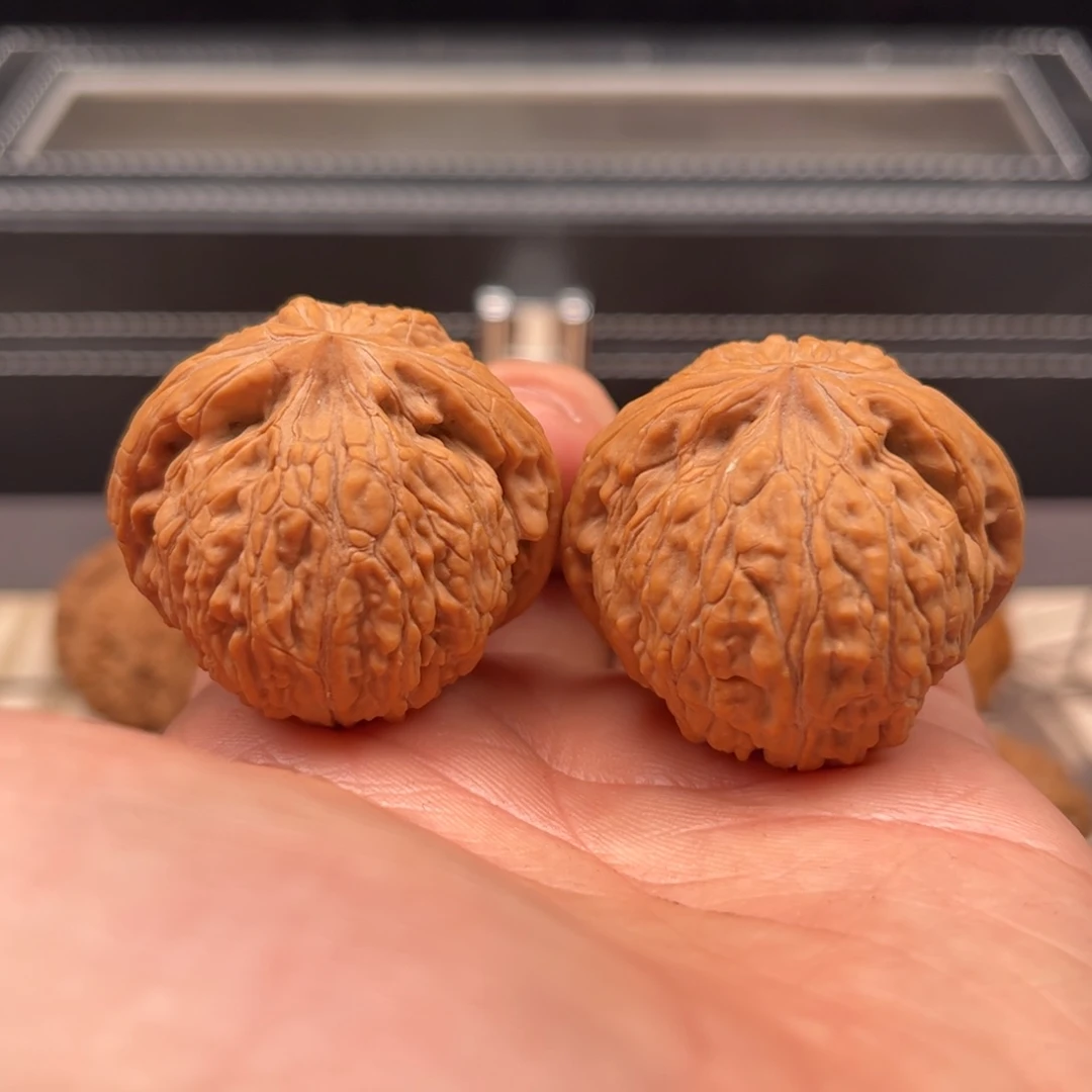 文玩核桃吊坠38蛟龙