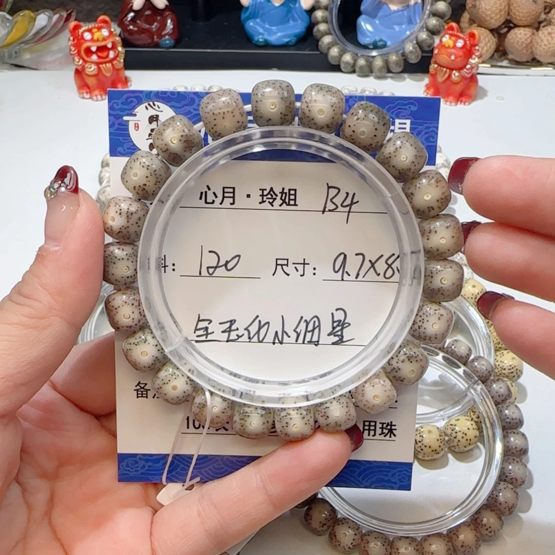 心月星月菩提一号B4