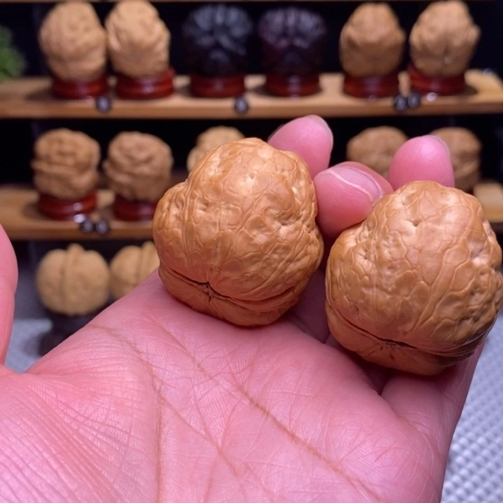 木质类噬金蛤蟆头61号