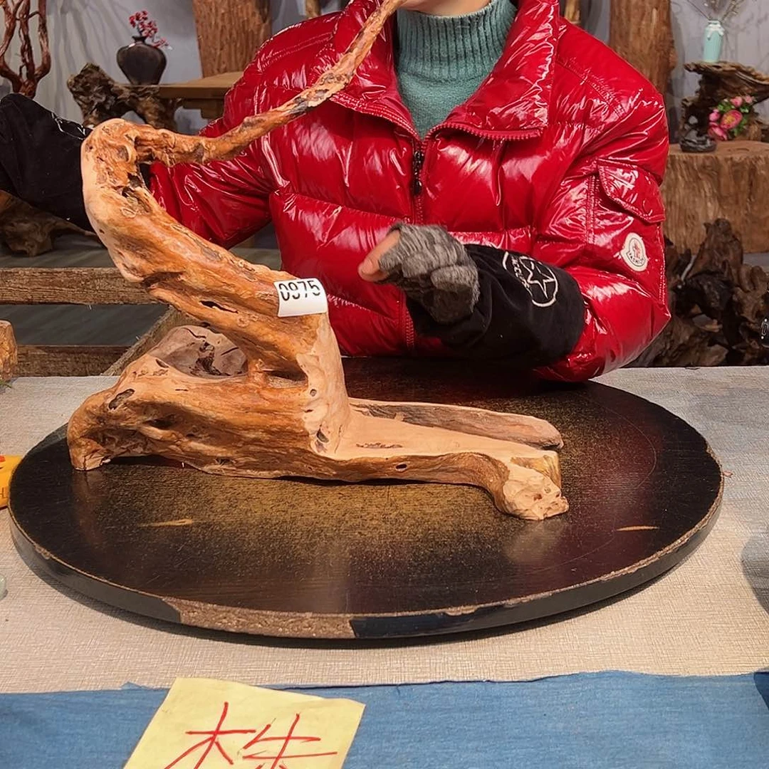 木舍*975 hvhbhvhvhhhhhhbh