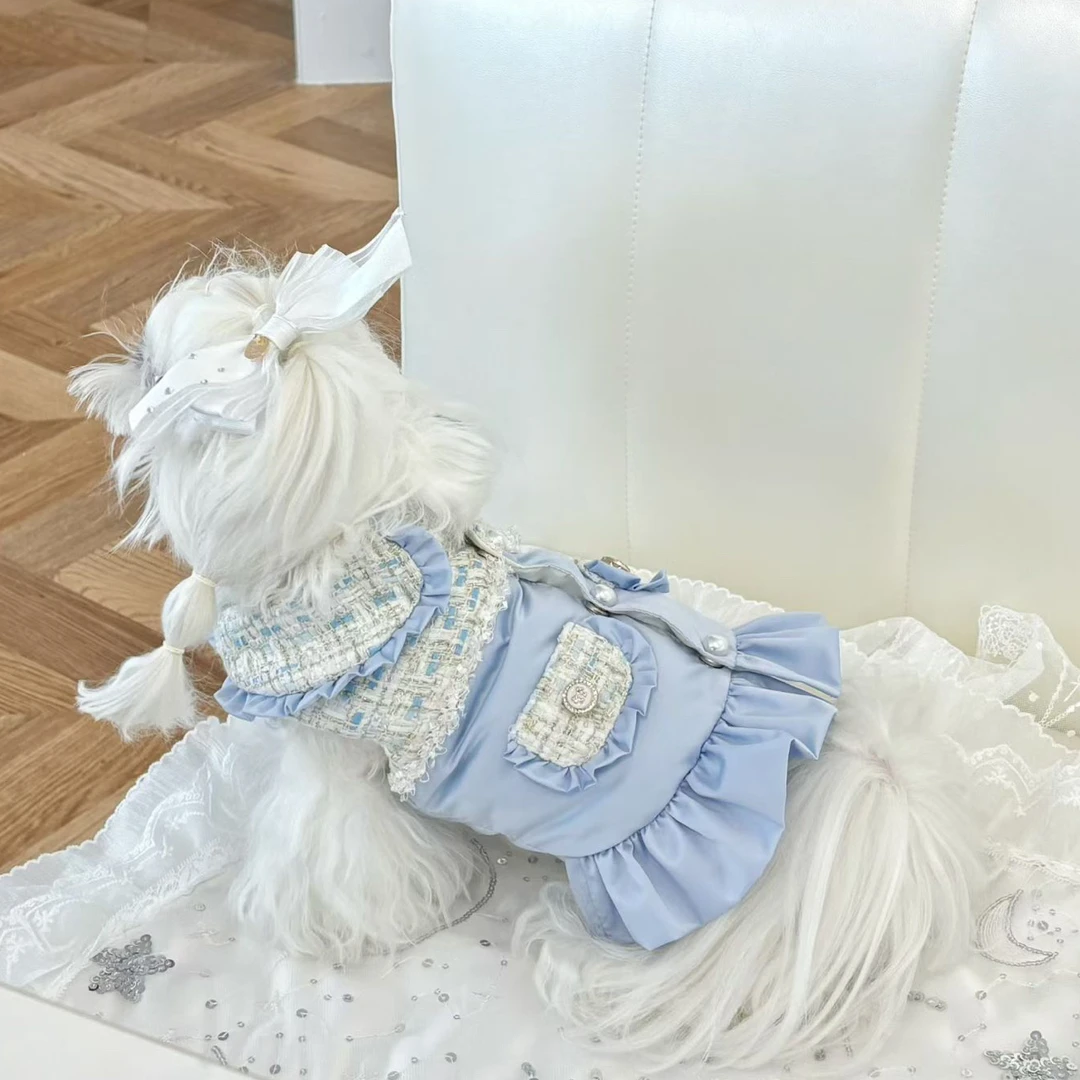 【可直拍】宠物衣服蜜糖狗狗羽绒服超美蓝色（看清尺码no退no换）